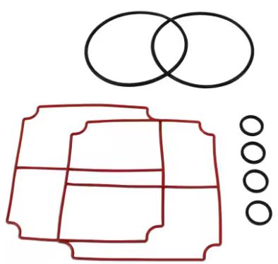 Service Seal Kit for 'Big Brother' Pump - 2 VERSIONS See Description